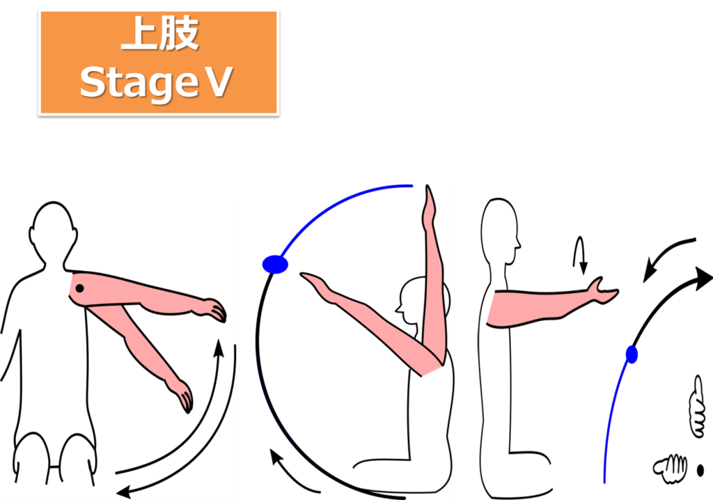 ブルンストローム臨床運動学-